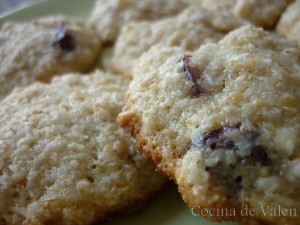 Galletas de Avena y Coco con Arándanos y Nueces de Macadamia