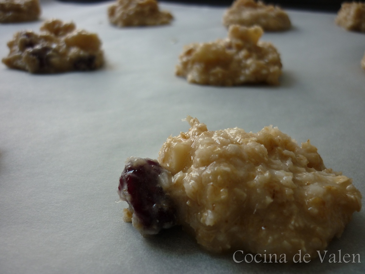 Galletas de Avena y Coco con Arándanos y Nueces de Macadamia