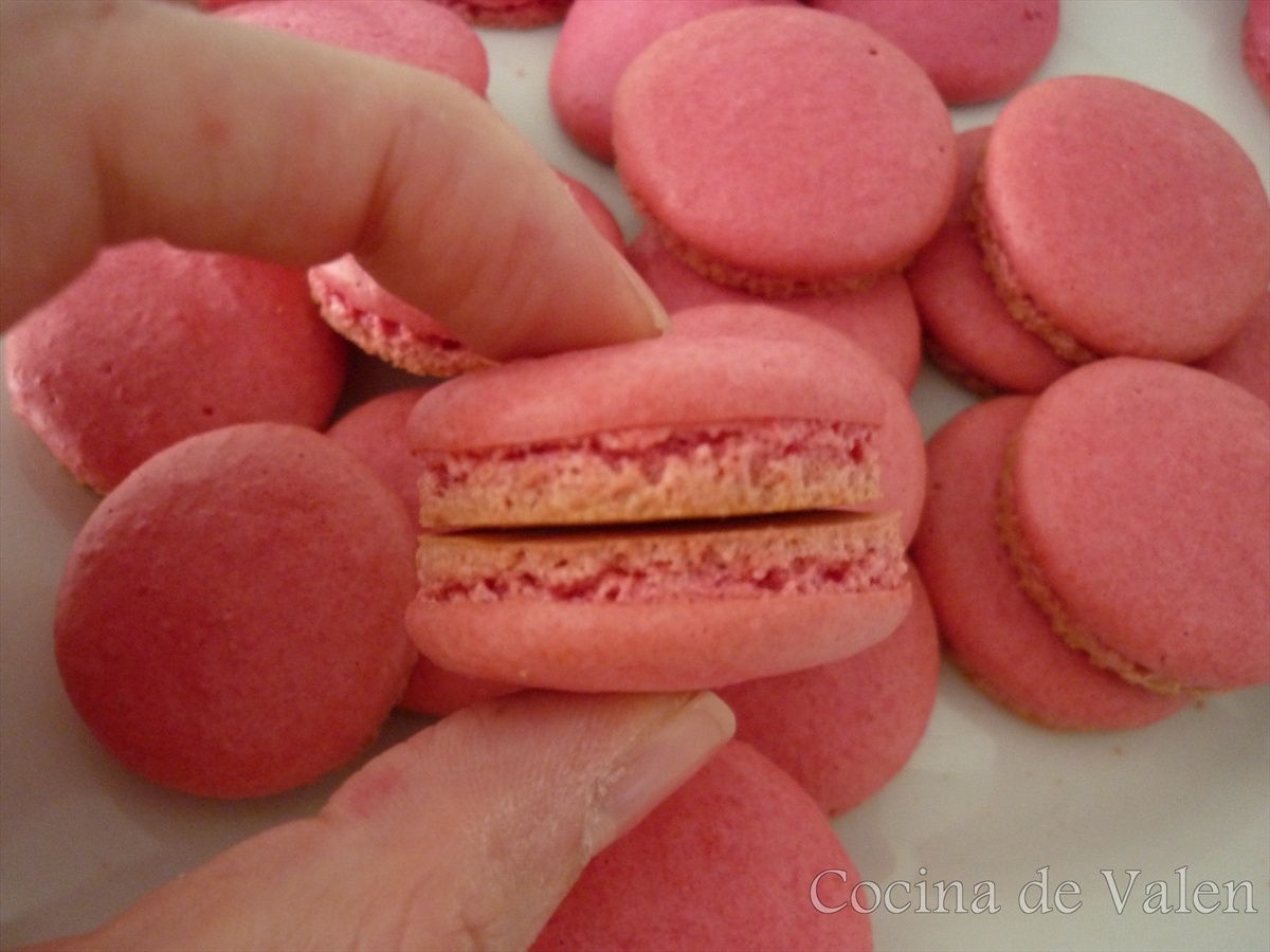Macarons