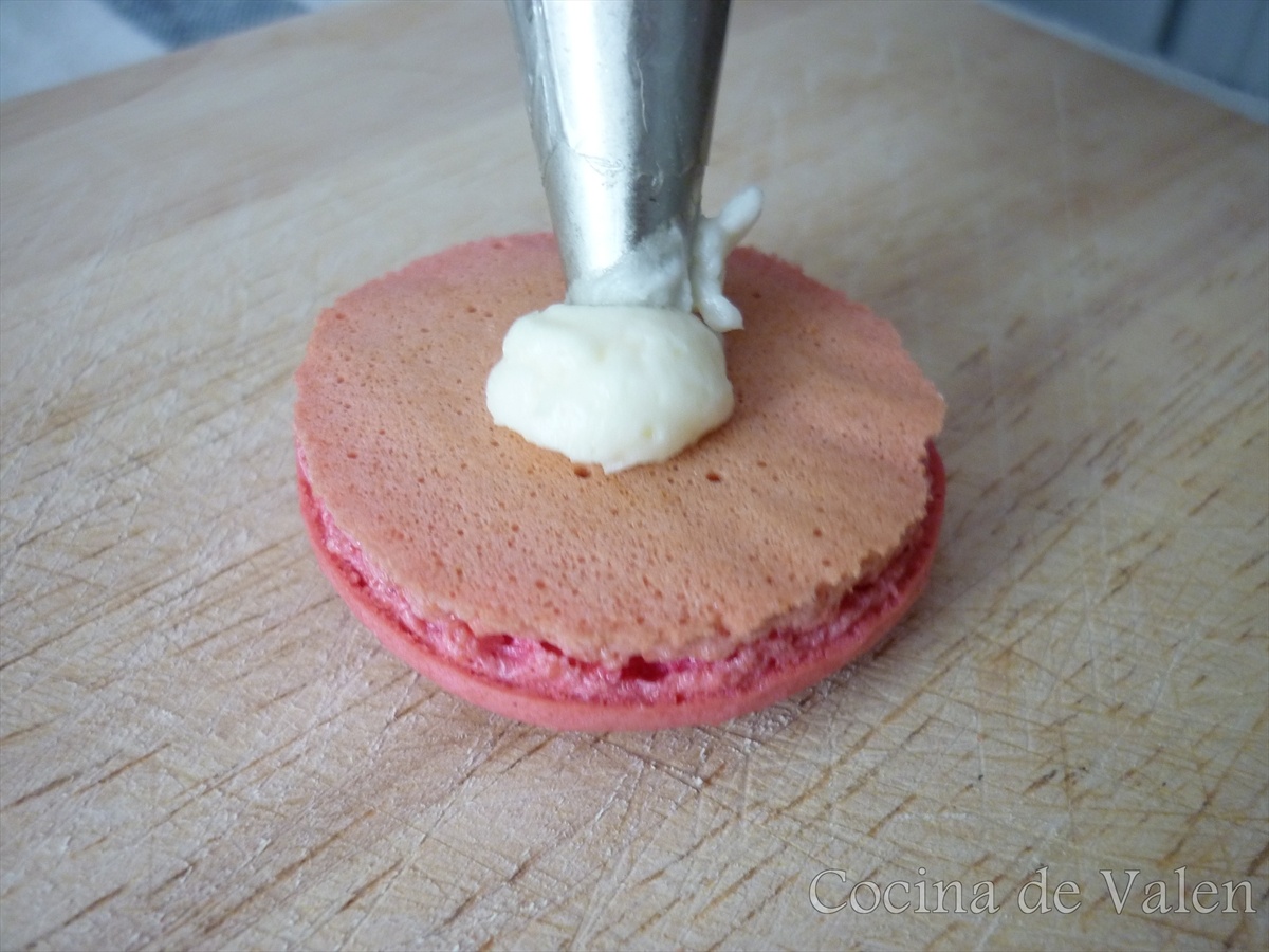 Macarons