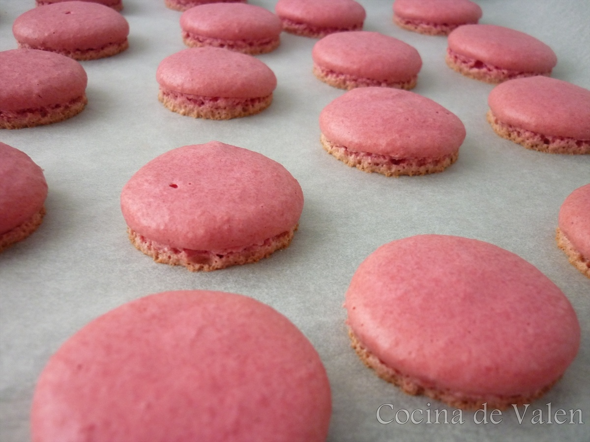 Macarons