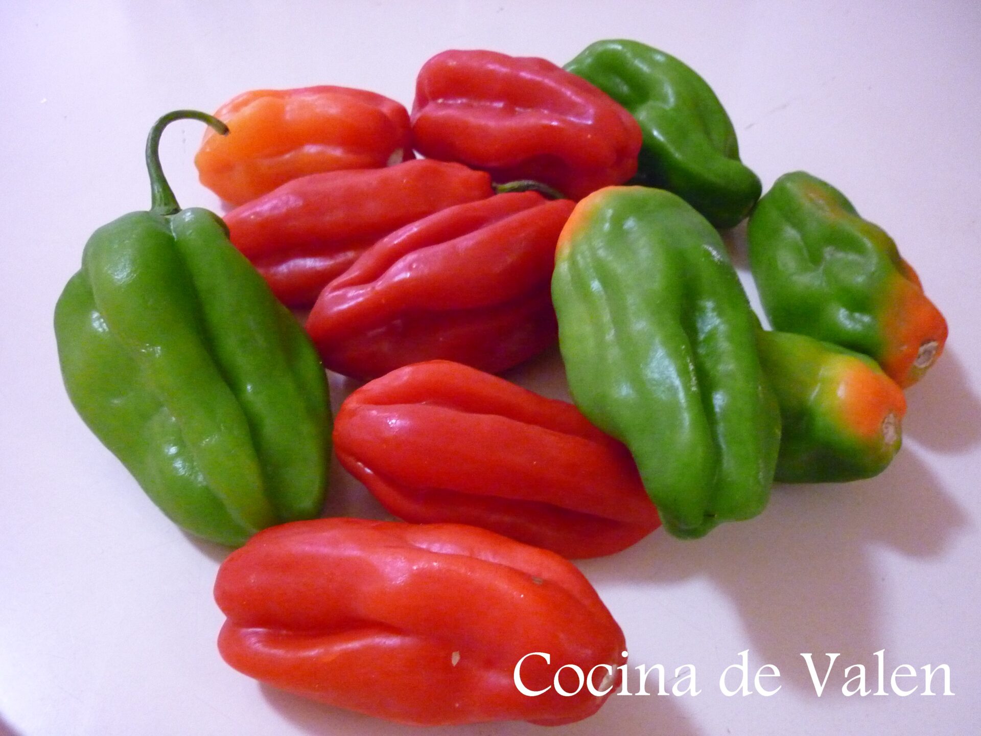 Aliños Cazón - Cocina de Valen