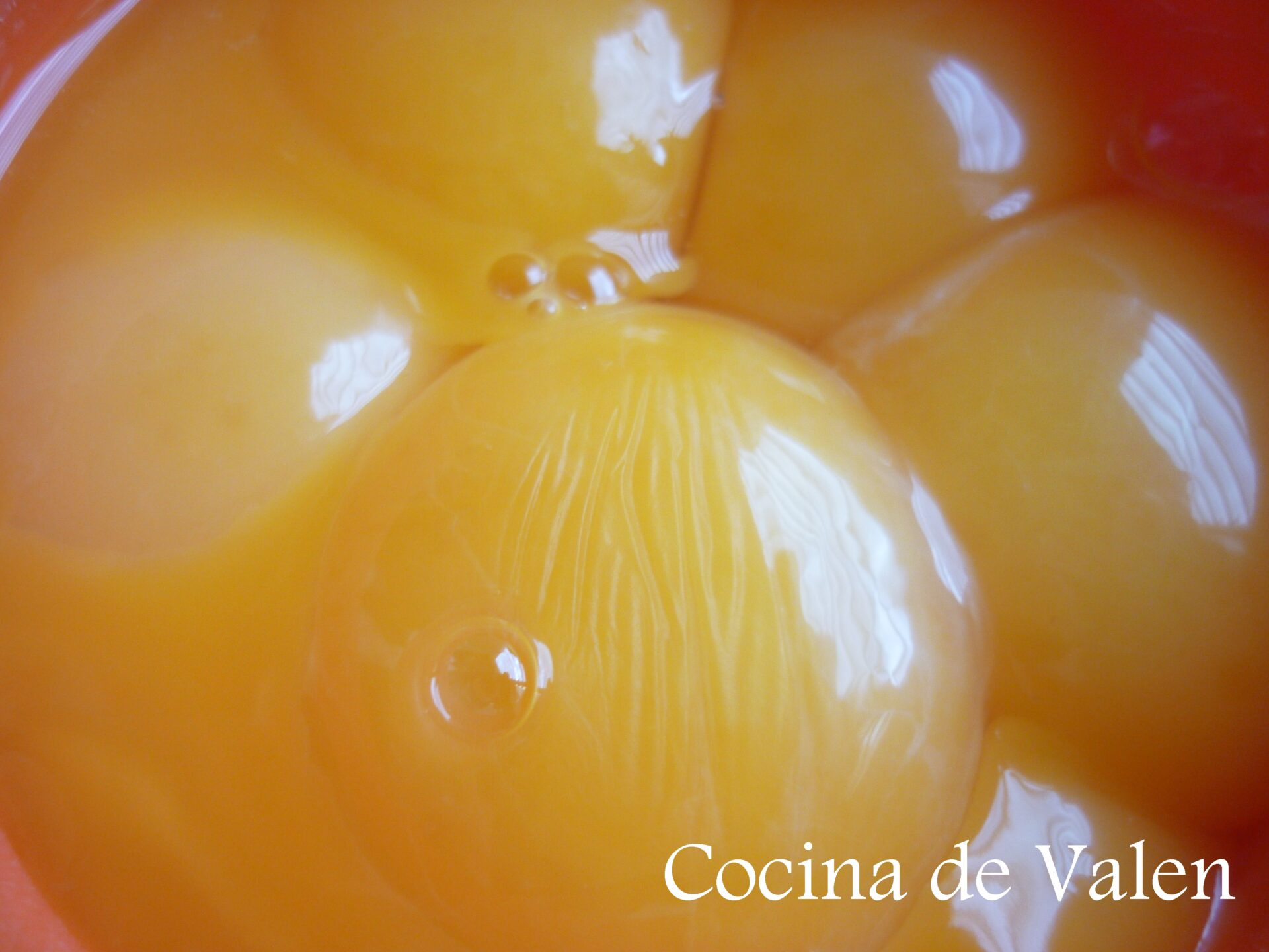 Torta de Queso Criolla