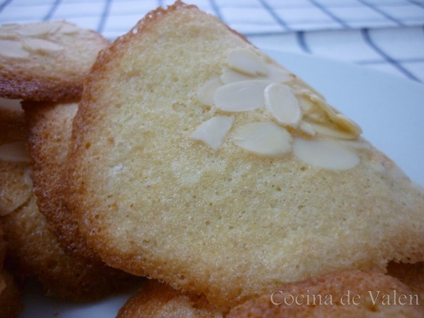 Tejas de Almendras