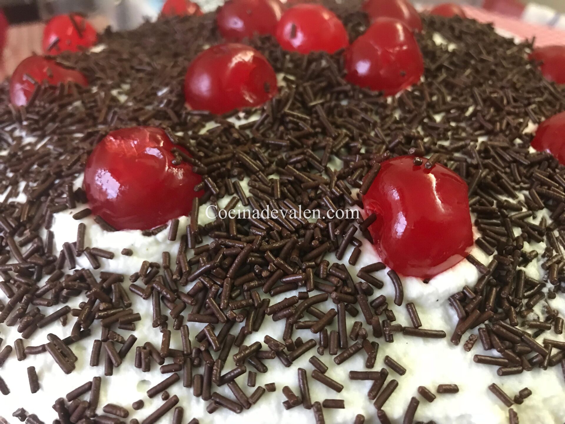 arta Selva Negra - Cocina de Valen