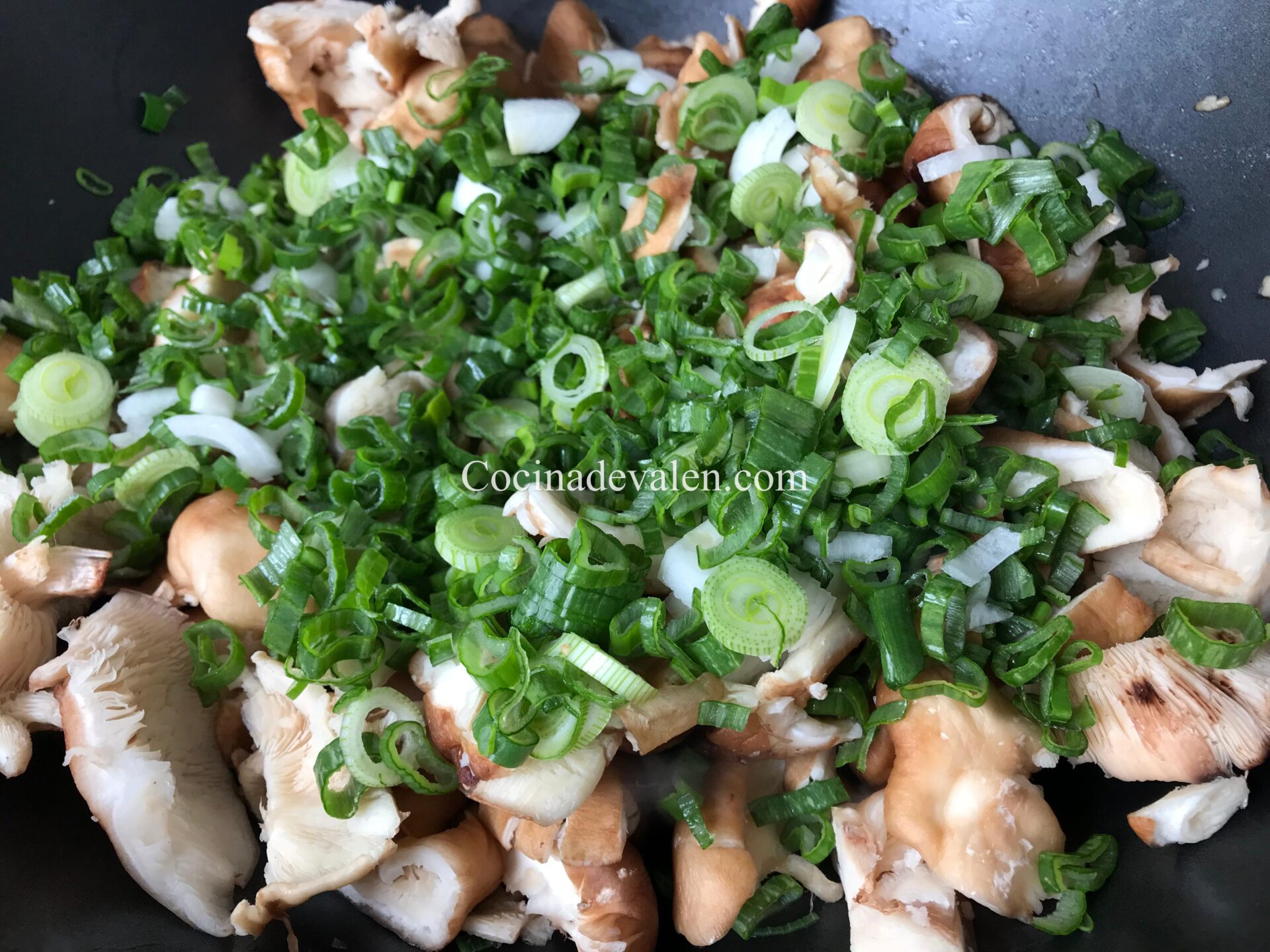 Pollo con hongos y salsa de ostras Pollo con hongos y salsa de ostras