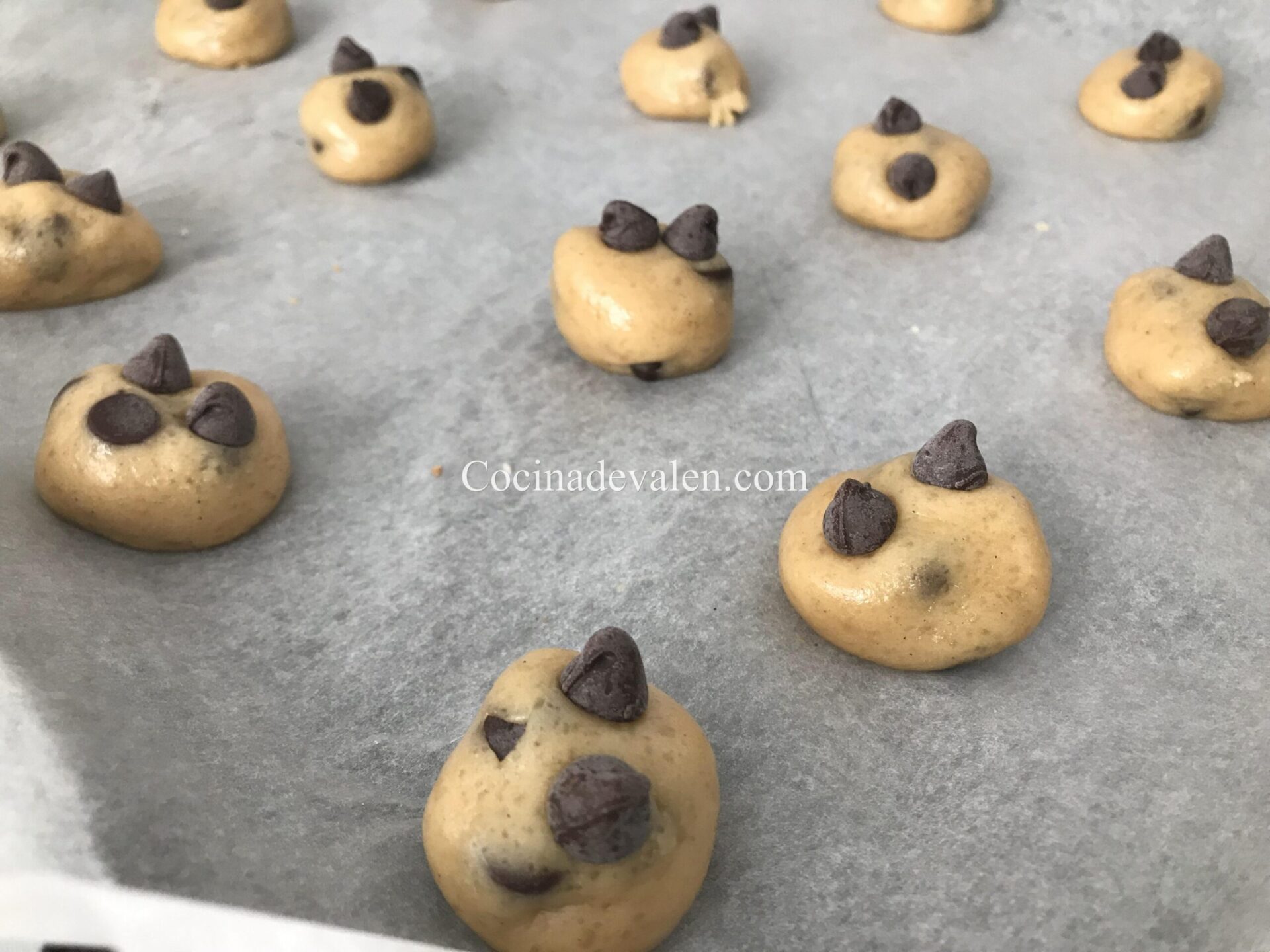 Galletas de chocolate chip sin mantequilla Galletas de chocolate chip sin mantequilla